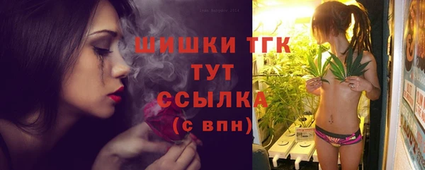 твердый Михайлов