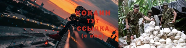 прущие крисы Михайловка