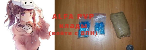 твердый Михайлов