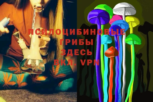 твердый Михайлов