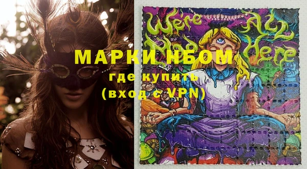 твердый Михайлов