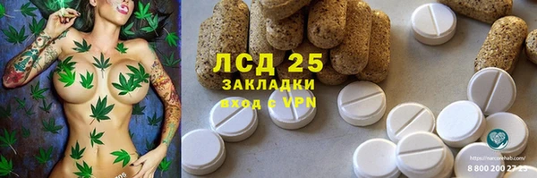 твердый Михайлов