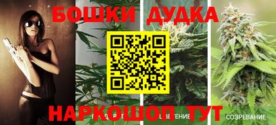 стаф Аргун