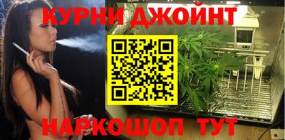 стаф Аргун