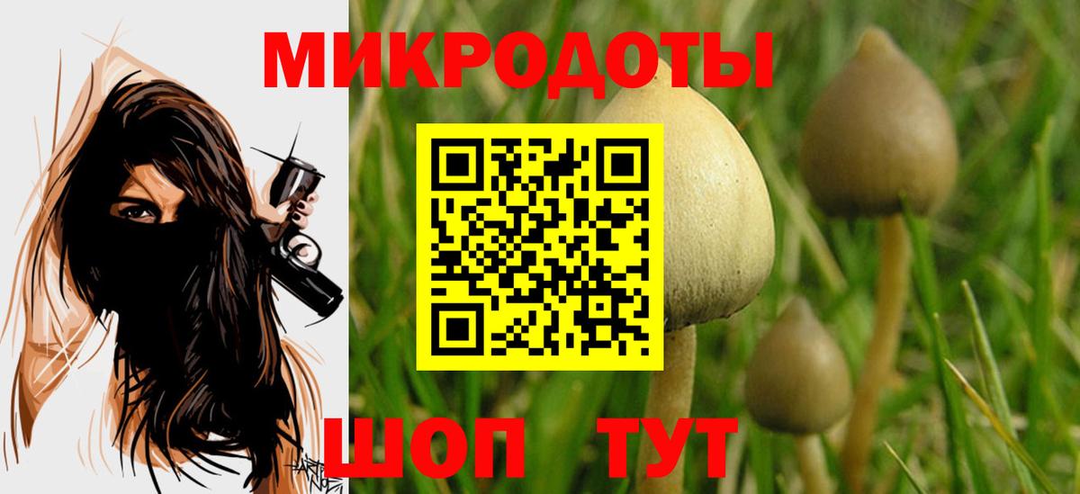 Псилоцибиновые грибы ЛСД Егорьевск