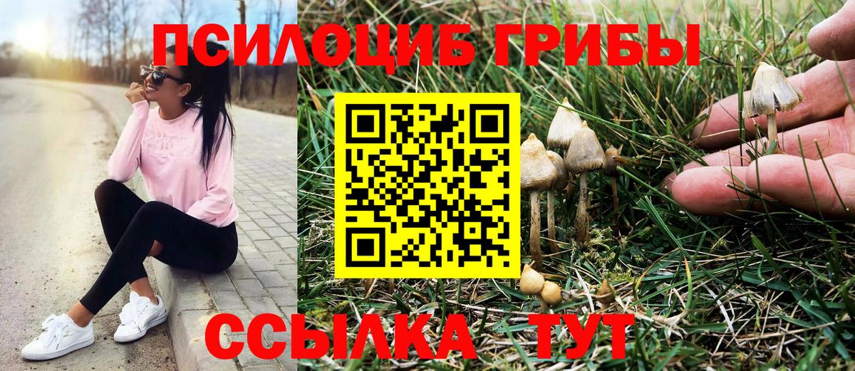 Галлюциногенные грибы MAGIC MUSHROOMS  Вход с VPN  Егорьевск 